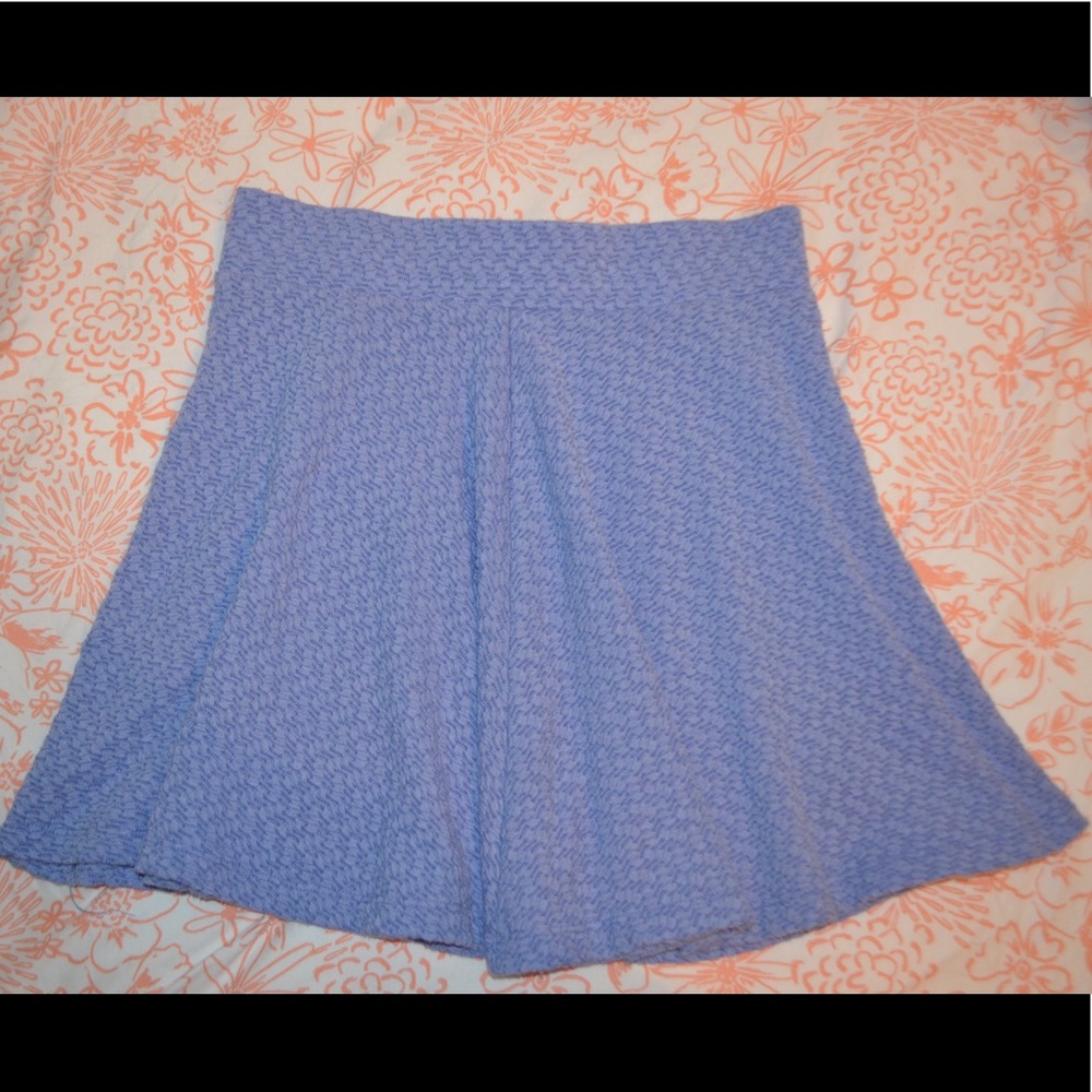 Blue Knit Skater Skirt